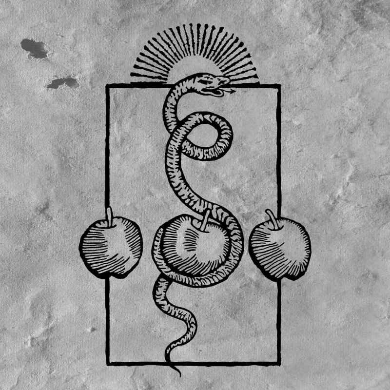 DARVAZA - We Are Him DIGI